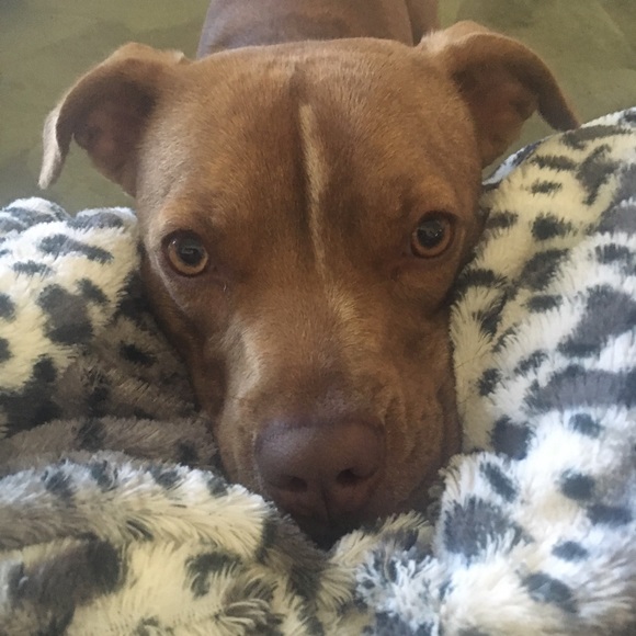 Meet your Posher, Jennifer - Picture 1 of 3